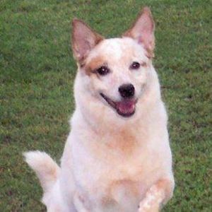 Meet your Posher, Pamela